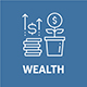 Asset/ Wealth